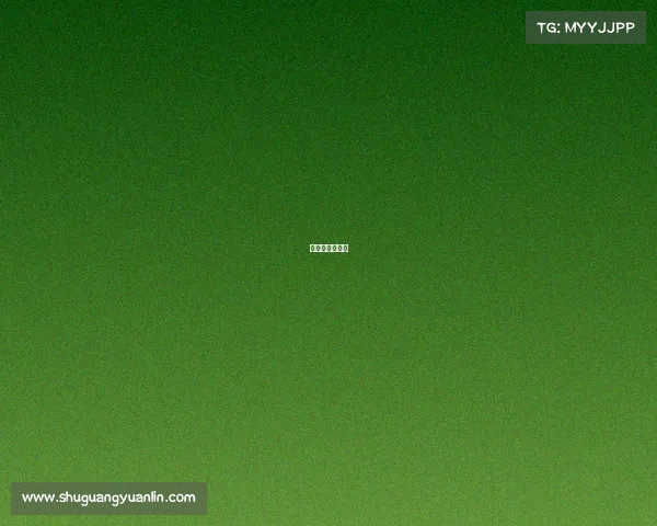 定向赛游戏项目